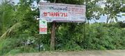 ขายที่ดิน 1-3-0 ไร่ บรรยากาศดี เงียบสงบ ใกล้แหล่งชุมชม เหมาะสร้างที่อยู่อาศัย
