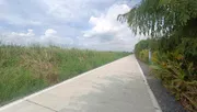 ขาย ที่ดิน ตำบลคลองสี่ อำเภอคลองหลวง จังหวัดปทุมธานี