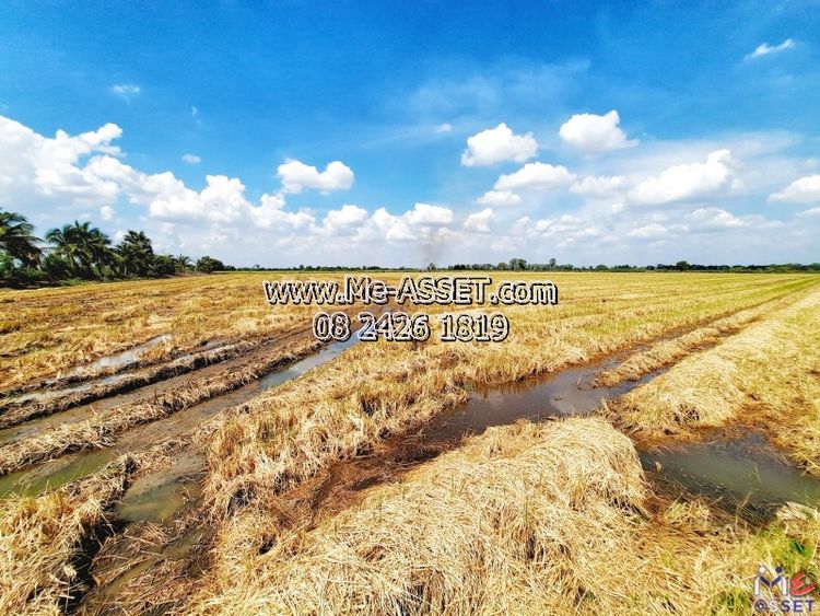 ขายที่ดินนาข้าว ย่าน กระตีบ บ้านหัวดอนคา ห้วยม่วง กำแพงแสน นครปฐม : : :, ภาพที่ 4