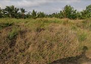 ขายที่ดินบ้านแพ้ว 74.6 ตร.ว. ถมแล้ว สมุทรสาคร เหมาะปลูกบ้าน โกดัง