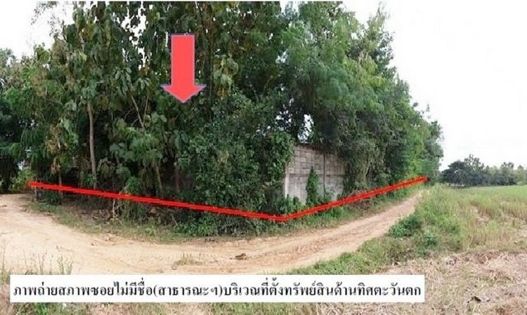 ขายที่ดินว่างเปล่าโครงการ แม่ยางโทน ร้องกวาง แพร่ PSC09819, ภาพที่ 4