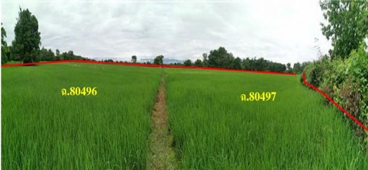 ขายที่ดินว่างเ้ปล่าโครงการ หนองกลาง เมืองแพร่ แพร่  PSC10327, ภาพที่ 4