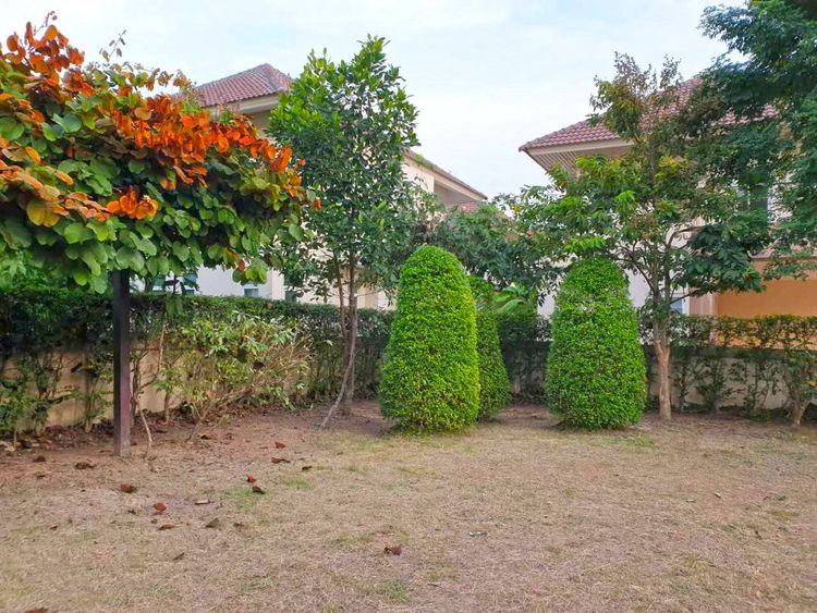  ให้เช่าบ้านเดี่ยวสองชั้น     4 ห้องนอน 3 ห้องน้ำ  1 ห้องครัว    149.2 , ภาพที่ 4