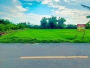 ขายด่วนที่ดินสวย 400 ตร.วา  คลองหลวง  คลองห้า  ปทุมธานี   ZT242