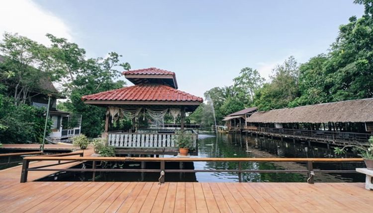  คาเฟ่กาแฟ-ร้านอาหาร 10.5 ไร่  มหิดล ล้านบาท บางใหญ่ นนทบุรี สตูดิโอ, ภาพที่ 4
