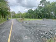ขาย ที่ดิน ตำบลนาโยงเหนือ อำเภอนาโยง จังหวัดตรัง