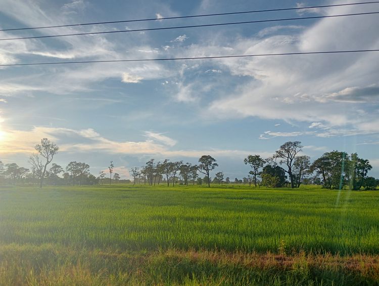 *ขายไม่ด่วน เพราะที่สวยมาก!*ขายที่ดินบุรีรัมย์ อ.หนองกี่ 18-3-48ไร่ 68, ภาพที่ 4