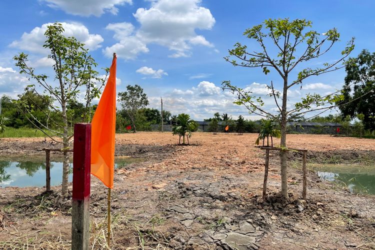 ขายที่ดิน 200 คลอง10 เขตเทศบาล อำเภอหนองเสือ จังหวัดปทุมธานี, ภาพที่ 4