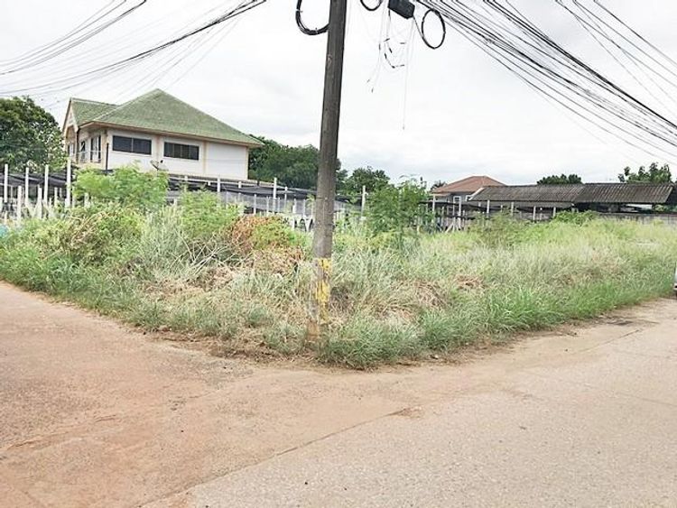 ขายที่ดินนครราชสีมา ติดถนนบายพาส ใกล้โฮมโปรโคราช ที่ดินสวย, ภาพที่ 4