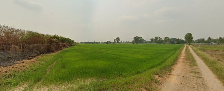 ขาย ที่ดิน 43-3-56.6 ไร่ ตำบลหนองจิก อำเภอหนองแค จังหวัดสระบุรี, ภาพที่ 4