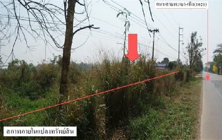 ขายที่ดินว่างเปล่าโครงการ บ้านแม่ต๋ำ เทิง  เชียงคำ พะเยา PSC08782, ภาพที่ 4