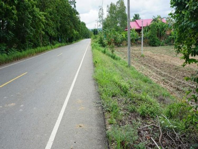 ขายที่ดินเกษตร ติดถนนทางหลวงชนบท 3042  เนื้อที่ 7-0-75 ไร่  จังหวัดตาก , ภาพที่ 4