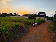 ขายที่สวย 1 ไร่ แปลงรับทรัพย์เหมาะปลูกบ้านสวน รีสอร์ท หอพัก ร้านอาหาร อยู่หน้ามหาลัย มทส.ประตู ห่างจากวงเวียน เพียง 1 โลเท่านั้น