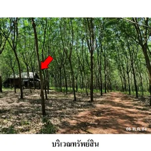 ขาย บ้าน ในโครงการ บริษัท บริหารสินทรัพย์ จำกัด ตำบลวิศิษฐ์ อำเภอเมืองบึงกาฬ จังหวัดบึงกาฬ