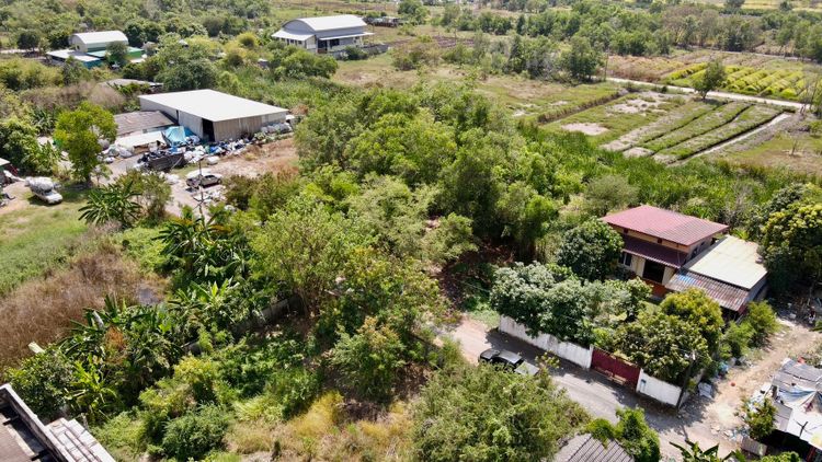 ขายด่วน ที่ดินเปล่า ใกล้วัดธรรมกาย  คลอง4 คลองหลวง, ภาพที่ 4
