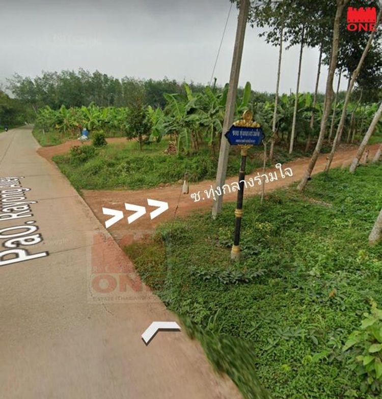 ขายที่ดินพร้อมสวนยาง ทำเลดีมาก ต.บ้านนา อ.แกลง จ.ระยอง, ภาพที่ 4