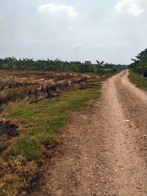  ที่ดินเปล่า ลาดหลุมแก้ว ซอย กำนันวิรัตน์ จ.ปทุมธานี 