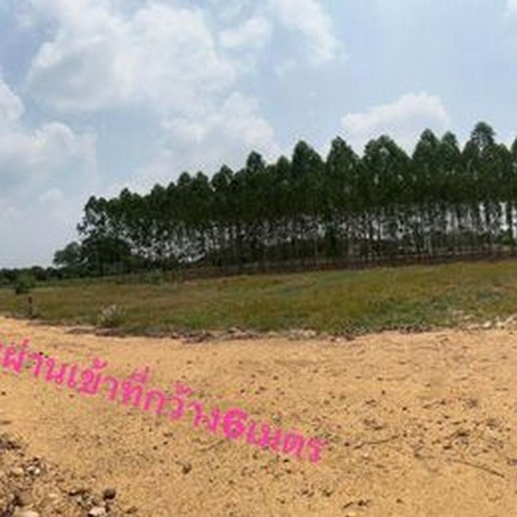 ที่ดินแบ่งขาย จัดสรรเรียบร้อยค่ะ รีบจับจองกันไว้ได้เลยนะคะ ราคาถูก, ภาพที่ 4