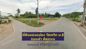 ขายที่ดินวัดพริก ม.8 ถมแล้ว แบ่งแปลงขาย พิษณุโลก