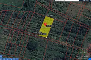 DD-0186 ขายที่สวน 220 ตร.วา ใกล้ริมแม่น้ำยม อ.เมือง แพร่