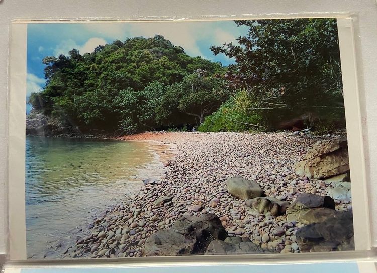 ขายที่ดินเปล่า เกาะยาวใหญ่ จังหวัดพังงา  , ภาพที่ 4