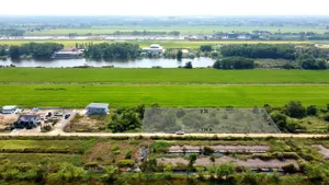 ที่ดินคลอง 4 ซอยคลองสี่ตะวันออก 55 ใกล้มอเตอร์เวย์  อ.คลองหลวง จ.ปทุมธานี