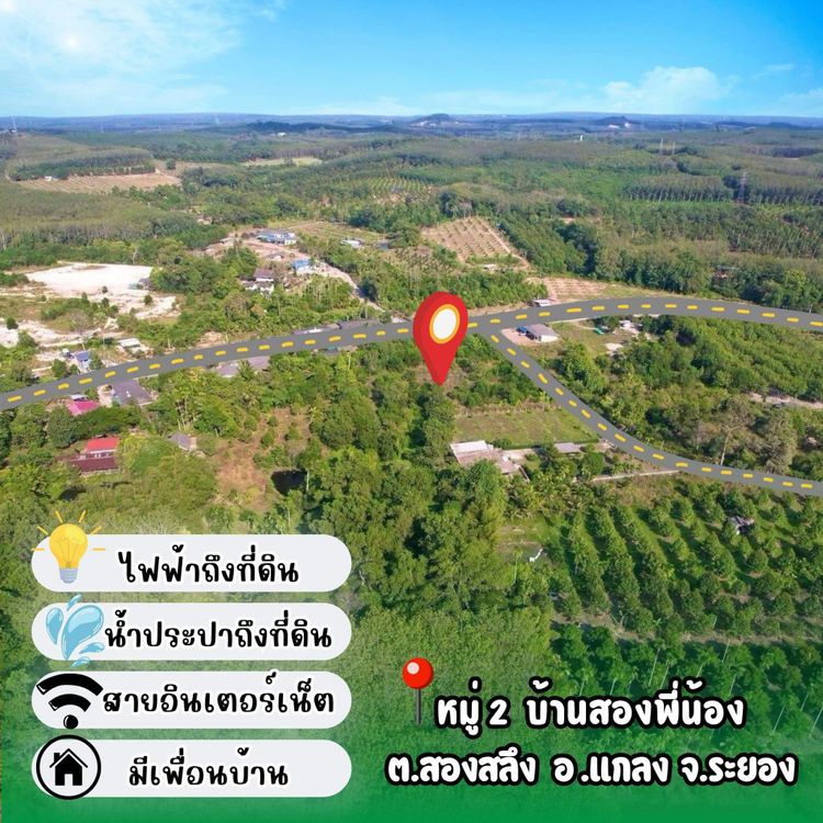 ห้ามพลาด ที่ดินแบ่งขาย อ.แกลง ติดถนนลาดยาง เดินทางสะดวก, ภาพที่ 4