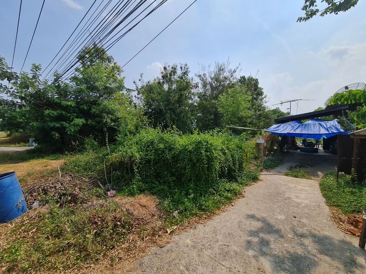 ให้เช่า ที่ดิน ใกล้โรงเรียนอินทรนาวีอุปถัมภ์Land for sale 1 Rai 1 ไร่, ภาพที่ 4