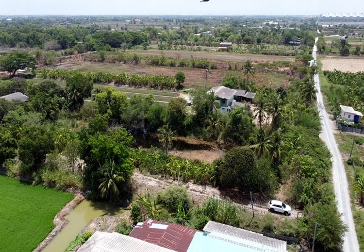 ขายบ้านพักตากอากาศ อยุธยา ถนน4009 ตำบลสิงหนาท อำเภอลาดบัวหลวง, ภาพที่ 4