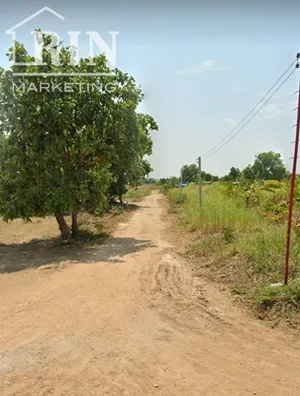 ขายที่ดิน  ใกล้ชุมชน บางระกำ พิษณุโลก 100ตร.ว. 58,000