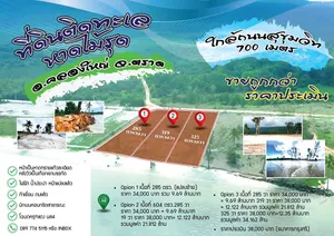 ขายที่ดินติดทะเล หาดไม้รูด อ.คลองใหญ่ จ.ตราด (รับนายหน้า) สนใจโทร 089 774 5115
