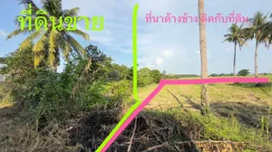 ติดถนนลาดยาง 1 ไร่ ตัวเมือง สิงห์บุรี