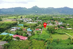 ขายที่ดินปากช่องกลางดง ทำเลดีมาก ใกล้ถนนมิตรภาพเพียง 500 เมตร 