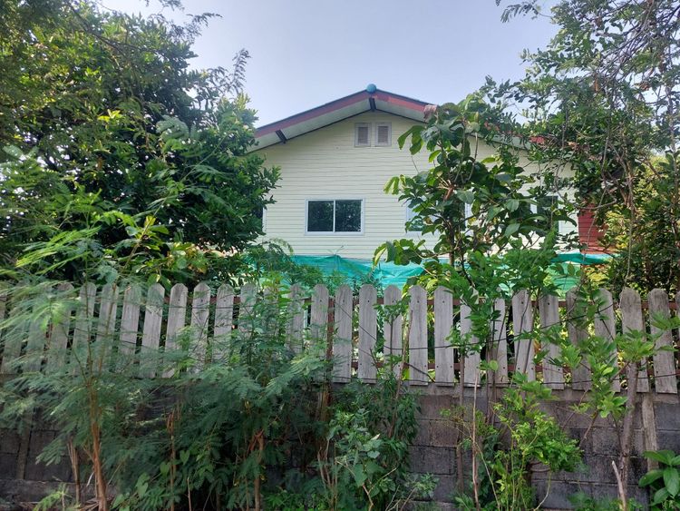 ขาย ที่ดิน ตำบลบางกะเจ้า อำเภอพระประแดง จังหวัดสมุทรปราการ, ภาพที่ 4