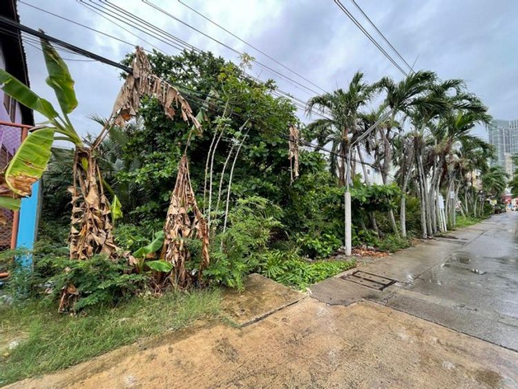 ขายที่ดินในคุ้งบางกระเจ้า ถนนเพชรหึงษ์ซอย2 เข้ัาซอยเพียง 100 เมตร  , ภาพที่ 4