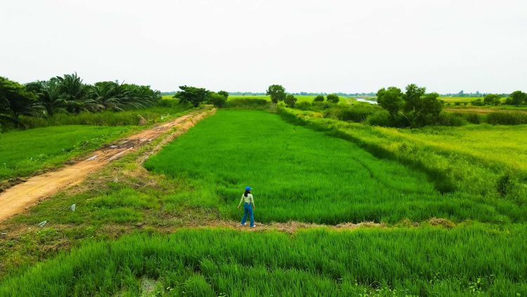 ขายที่ดินเปล่าพระอาจารย์ องครักษ์ นครนายก 8แปลง 100-150ตรว, ภาพที่ 4