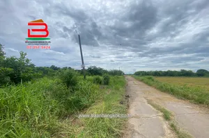 ที่ดินเปล่า คลองสี่ตะวันตก 31 (คลองหลวง) เนื้อที่ 4 ไร่ ใกล้วัดปัญญานันทาราม, วัดมงคลนุถการาม ถนนพหลโยธิน ตำบลคลองสี่ อำเภอคลองหลวง จังหวัดปทุมธานี