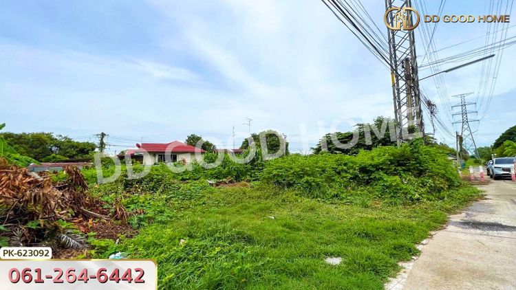 ที่ดิน ป่าตาล 99 ตร.ว. ลพบุรี, ภาพที่ 4