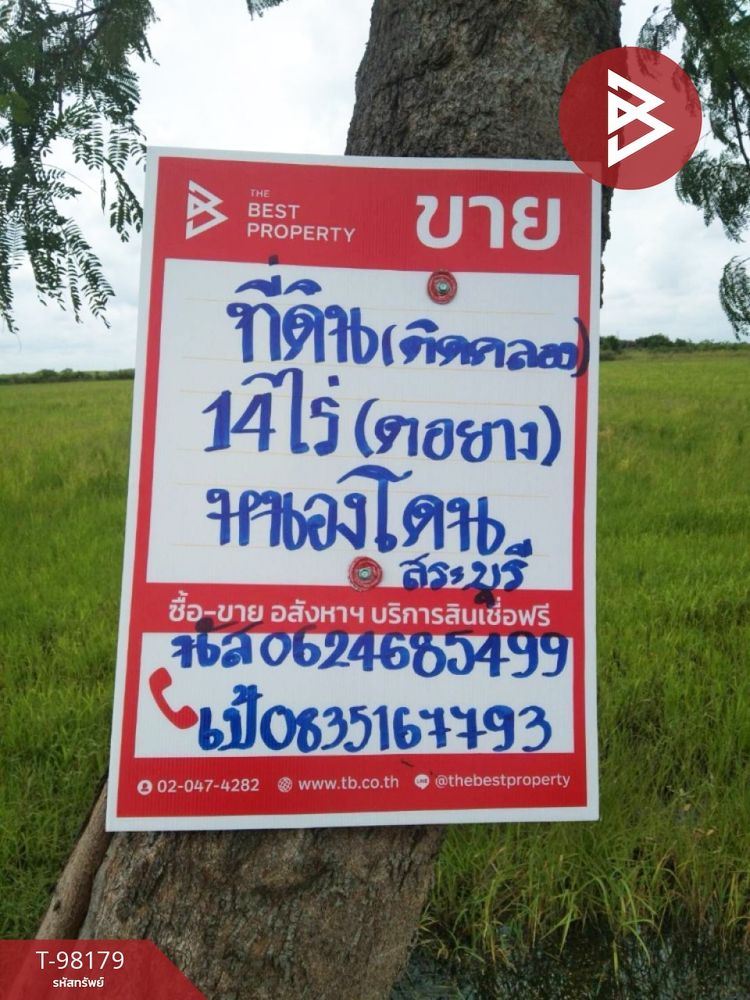 ขายที่ดิน เนื้อที่ 14 ไร่ 1 งาน 61.2 ตารางวา หนองโดน สระบุรี, ภาพที่ 4