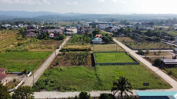 ที่ดินเวียงป่าเป้า เชียงราย ใกล้ที่ว่าการอำเภอเวียงป่าเป้า 500 เมตร , ภาพที่ 4