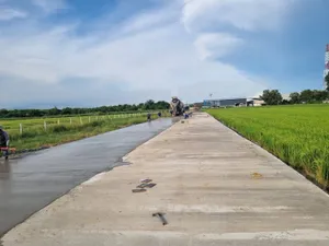 ขายที่ดินเขตEECผังสีม่วงจุดสีขาว ฉะเชิงเทราเนื้อที่40ไร่ถนนกว้าง10 เมตร รถใหญ่เข้าสะดวก แปลงสวยหน้ากว้างติดถนนสาธารณะ