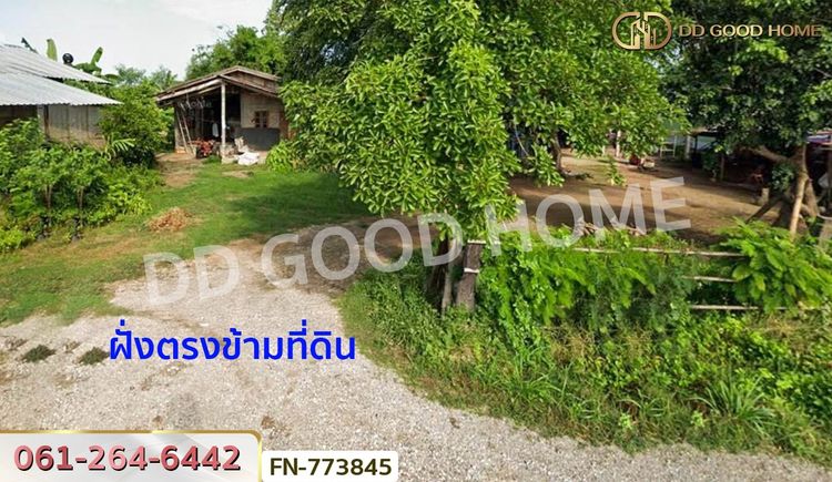 ที่ดินเมืองพิษณุโลก 3 ไร่ 183.6 ตร.ว. ใกล้ อบต.วังน้ำคู้, ภาพที่ 4