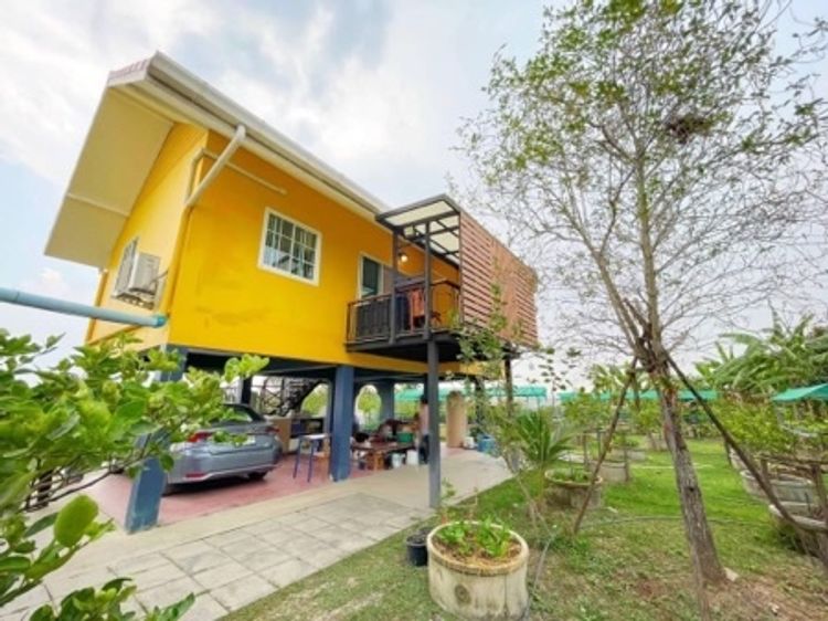 ขาย ที่ดิน พร้อมสวน พร้อมบ้าน บนที่ดิน 1 ไร่ บ้านสวน 1 ไร่ ใกล้กรุงเทพ, ภาพที่ 4
