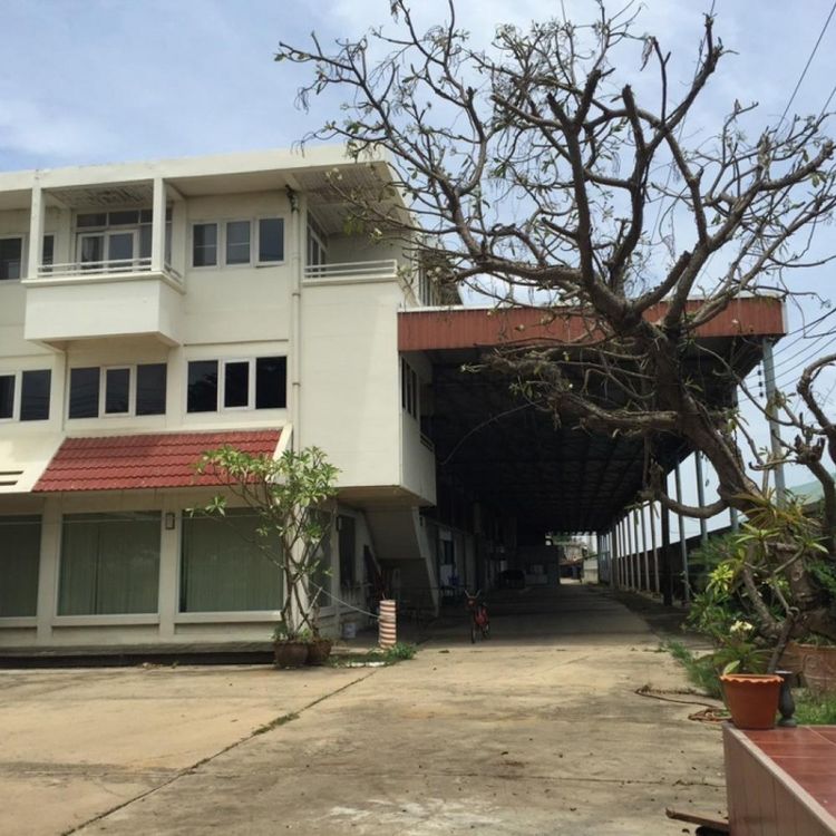 ขาย ที่ดิน พร้อมอาคาร3หลัง 26ไร่ 2งาน 76 ตร.วาถ.ไทรน้อย-ลาดบัวหลวง , ภาพที่ 4