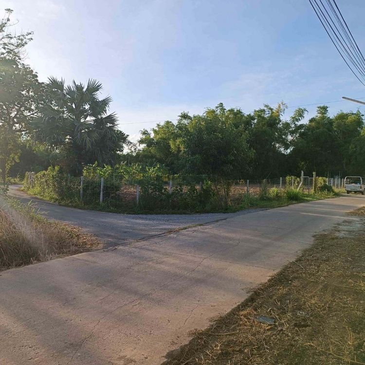 ขาย ที่ดิน ทำเลสวย ถมแล้ว 320 ตร.วา น้ำไฟพร้อม อยู่ในชุมชน อ.บางปะหัน , ภาพที่ 4
