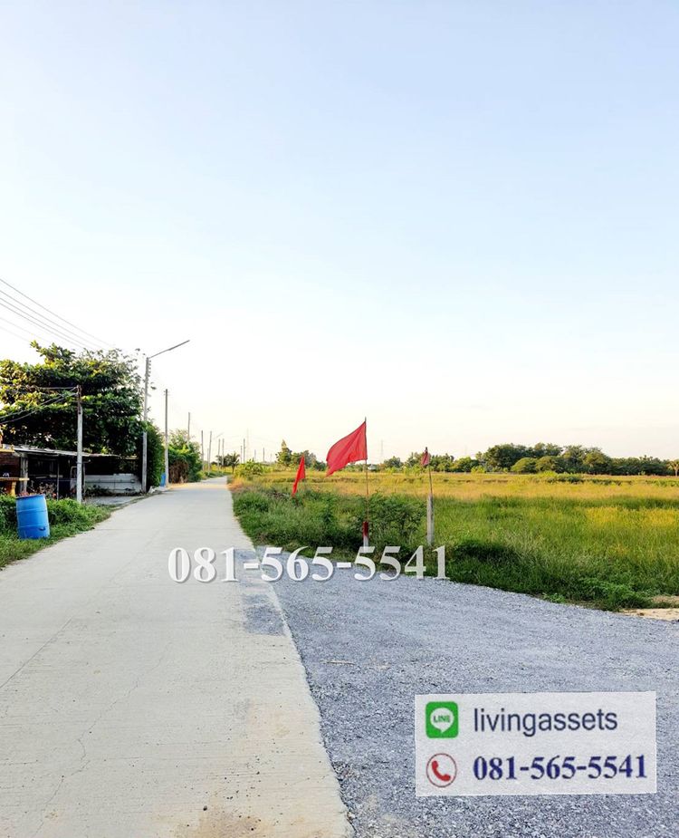 ขายที่ดิน 1ไร่ ติดถนน ท่าม่วง กาญจนบุรี ทำเลชุมชน วังศาลา ติดต่อ 081, ภาพที่ 4