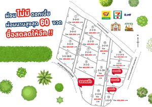 เปิดให้จองที่ดินสด-ผ่อนราคาถูกสุดๆ ไม่มีดอกเบี้ยซื้อสดวันนี้ลดได้อีก เนื้อที่ 3 ไร่ ใกล้สถานีรถไฟดงบัง ตลาดสดและถนนใหญ่ จ.ปราจีนบุรี