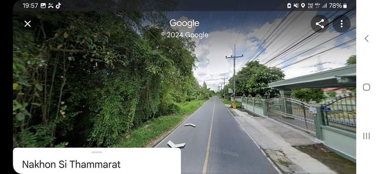 ขายที่ดิน8ไร่ ราคาถูกใกล้วัดมหาธาตุ ตำบลมะม่วงสองต้น, ภาพที่ 4