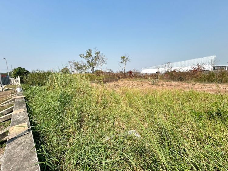 86298 - ขาย ที่ดินเปล่า คลองหลวง คลอง 4 ปทุมธานี เดินทางสะดวกรวดเร็ว, ภาพที่ 4