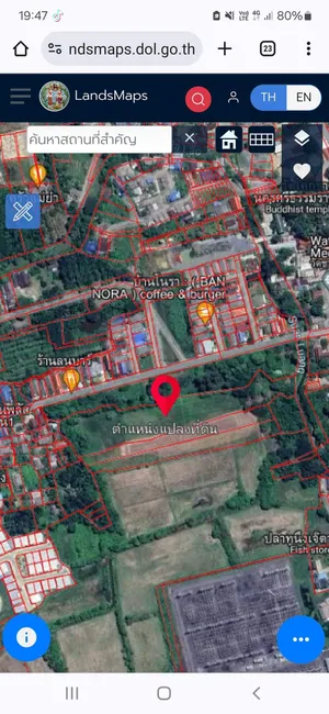 ขายที่ดิน8ไร่ ราคาถูกใกล้วัดมหาธาตุ ตำบลมะม่วงสองต้น อำเภอเมืองนครศรีธรรมราช จังหวัดนครศรีธรรมราช